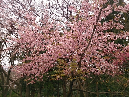 c0268274_12502731.jpg