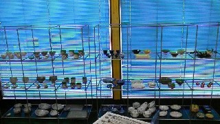 f0223479_20521205.jpg