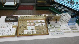f0223479_20524080.jpg