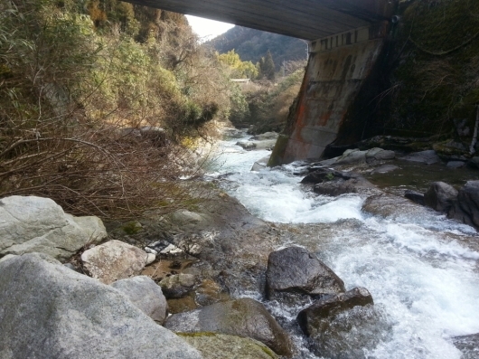 f0183484_11190558.jpg