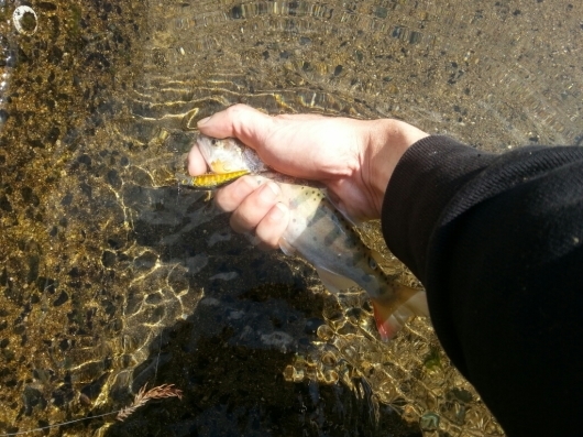 f0183484_13041047.jpg
