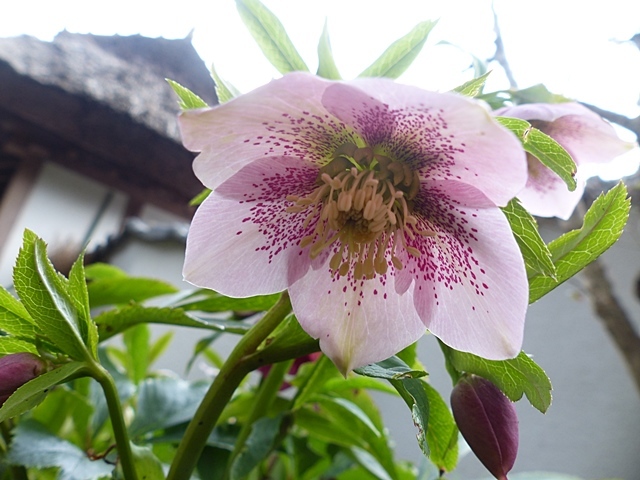f0357487_21535293.jpg