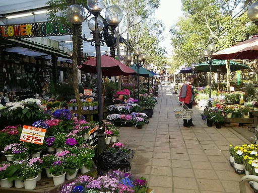 b0266191_21415526.jpg
