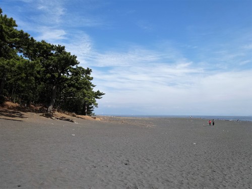d0212491_231329.jpg