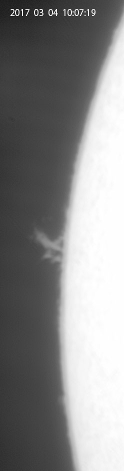 e0174091_13481585.jpg
