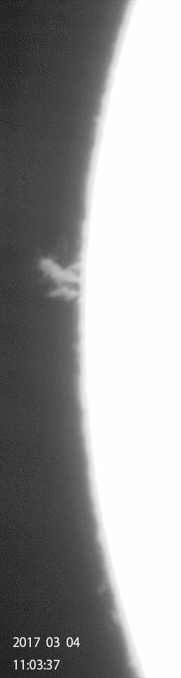e0174091_13482138.jpg