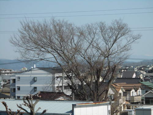 c0108198_18125093.jpg