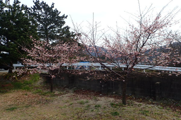c0367107_15573901.jpg