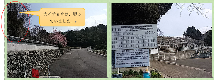 f0231709_10173363.png