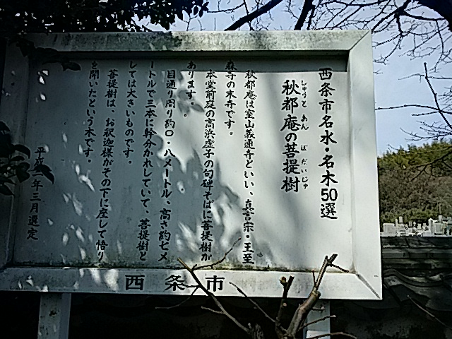 f0231709_936551.jpg