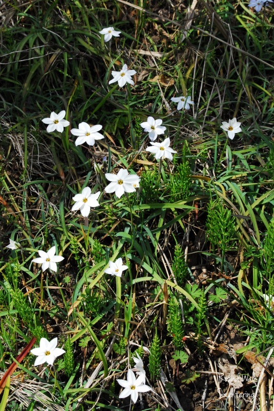 b0223512_22123440.jpg