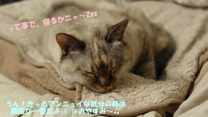 b0290816_15042069.jpg