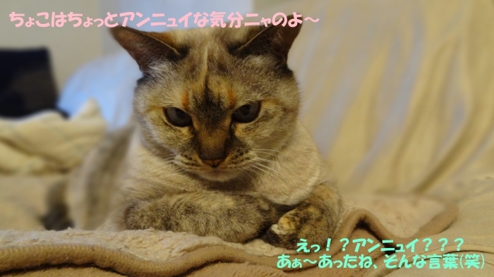 b0290816_15044693.jpg