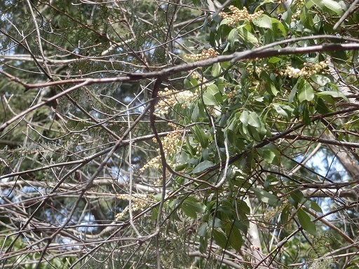 b0181818_15351206.jpg