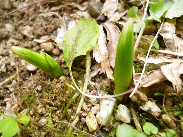 f0228619_14152444.jpg