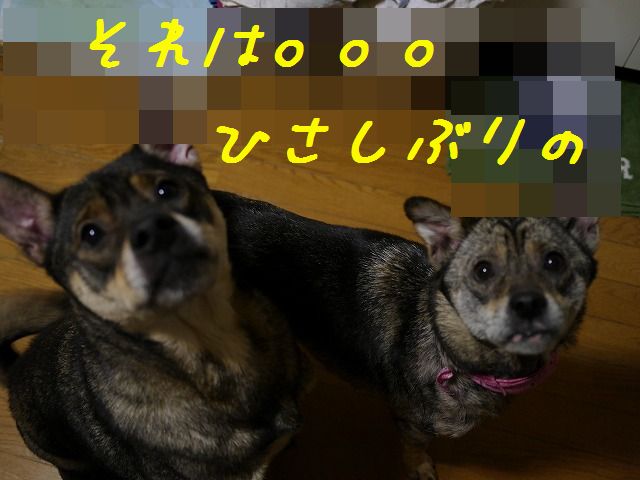 f0282319_4342153.jpg