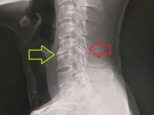 c0162128_9394961.jpg