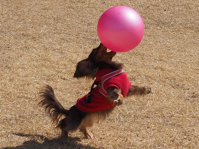 c0117831_20083215.jpg