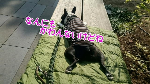 c0209932_23115457.jpg