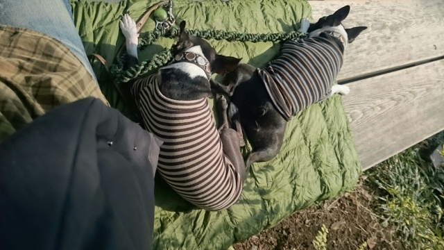 c0209932_23115575.jpg