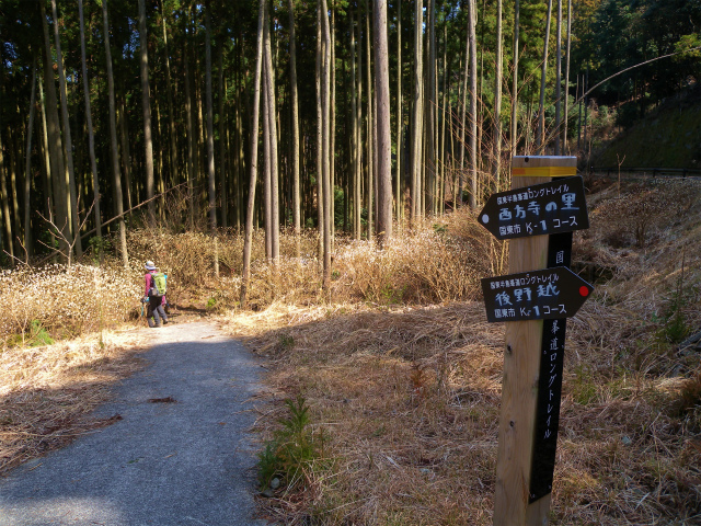 e0272335_2035326.jpg