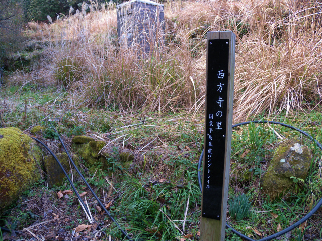 e0272335_20404382.jpg