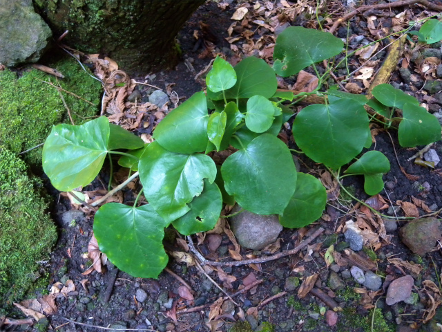 e0272335_2110375.jpg