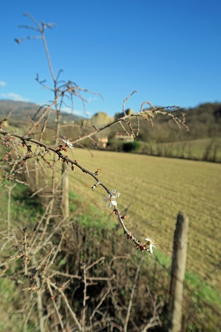 f0234936_8185530.jpg