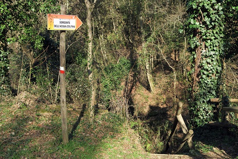 f0234936_8392071.jpg