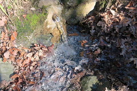 f0234936_8443794.jpg
