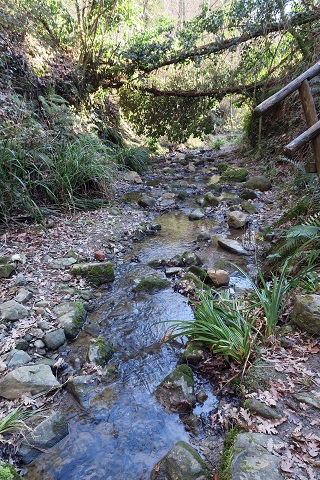 f0234936_849843.jpg
