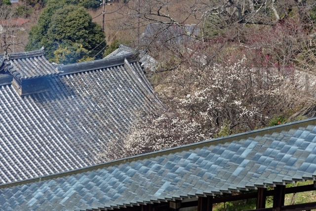 f0274536_18021234.jpg
