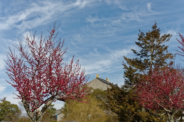 f0274536_18222725.jpg