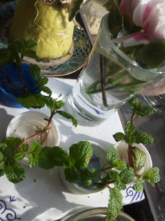 c0056437_922330.jpg