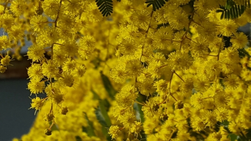 f0330437_21590003.jpg