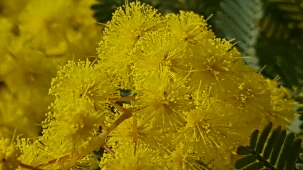 f0330437_21590379.jpg