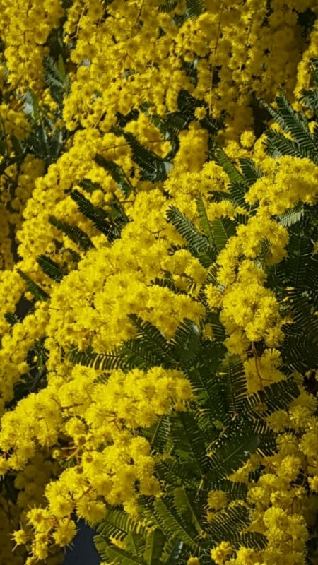 f0330437_21590693.jpg
