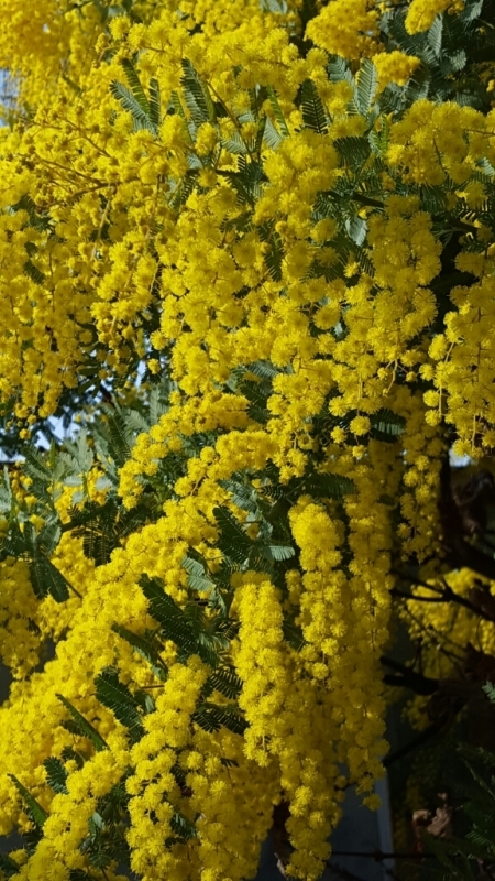 f0330437_21590927.jpg