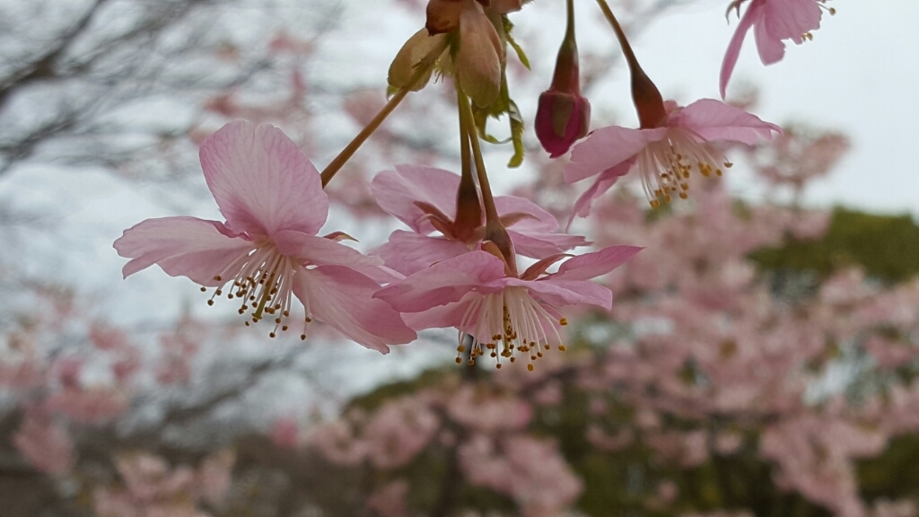 f0330437_22065830.jpg