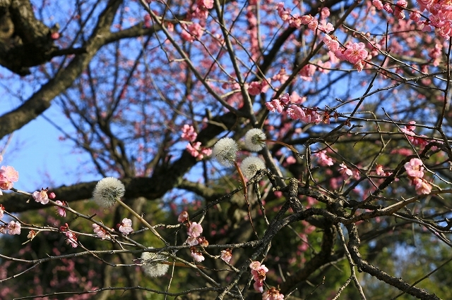 a0242438_19155145.jpg