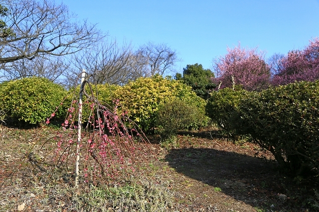 a0242438_19160000.jpg