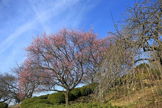 a0242438_19160066.jpg