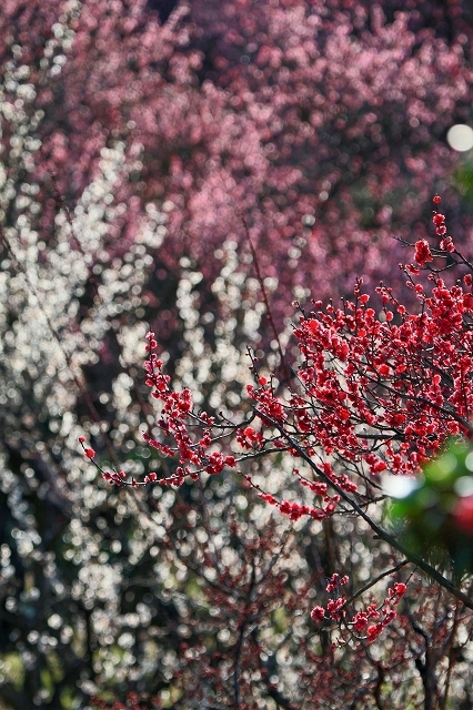 a0242438_19160114.jpg