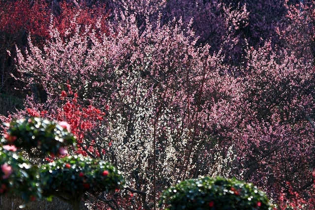 a0242438_19160180.jpg