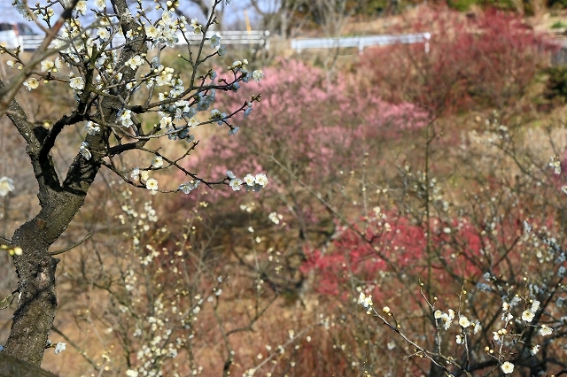 a0242438_19165078.jpg