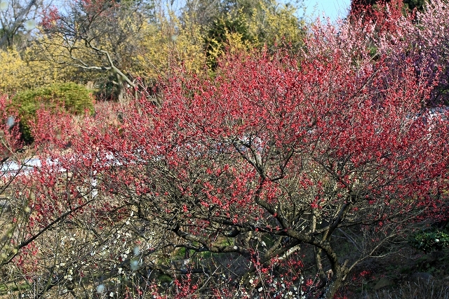 a0242438_19165635.jpg