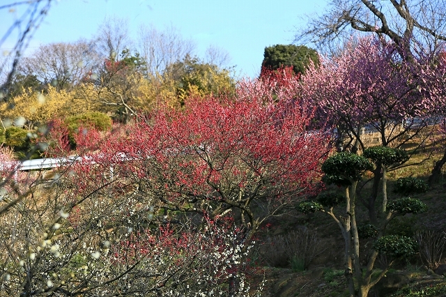 a0242438_19165641.jpg