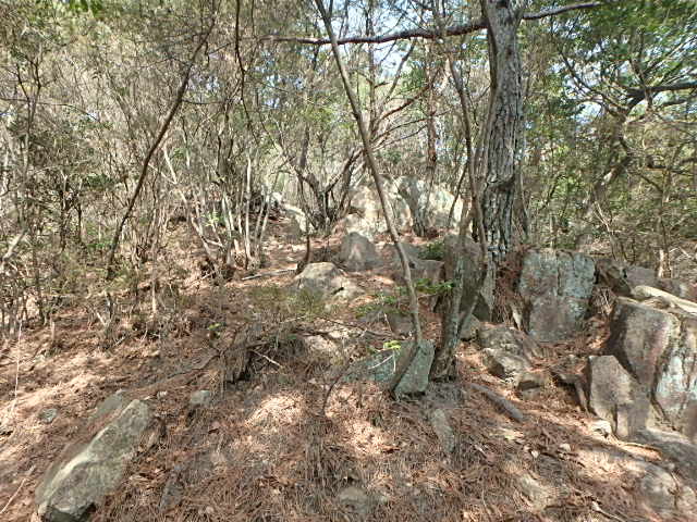 f0334143_18233091.jpg