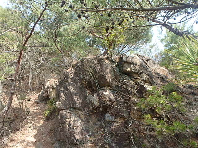 f0334143_18261477.jpg