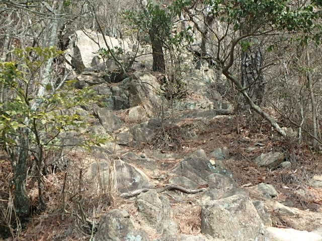 f0334143_18262169.jpg